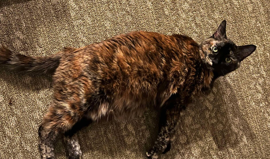 Winnie